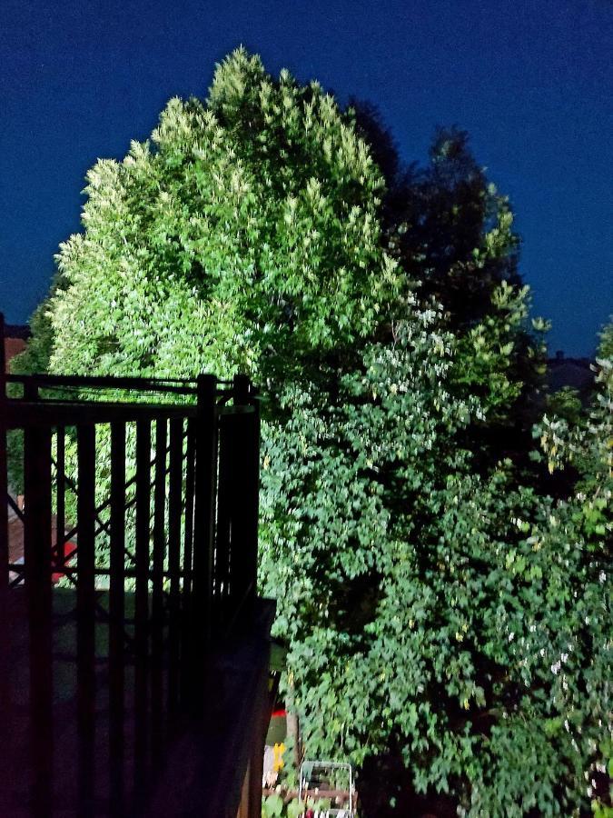 Apartmani Vuk Cetinje Esterno foto
